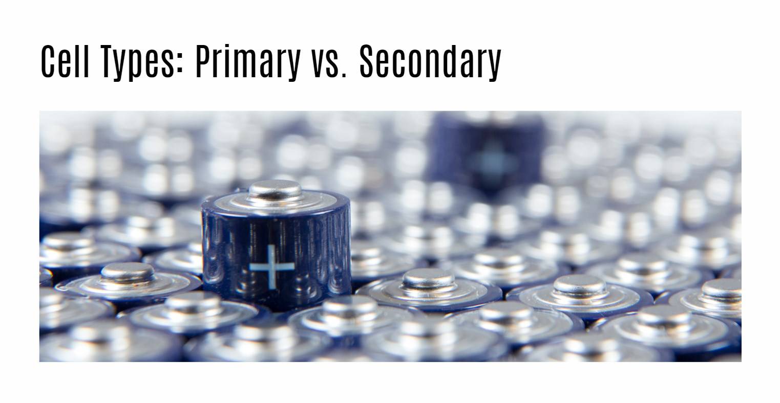 Cell Types: Primary vs. Secondary