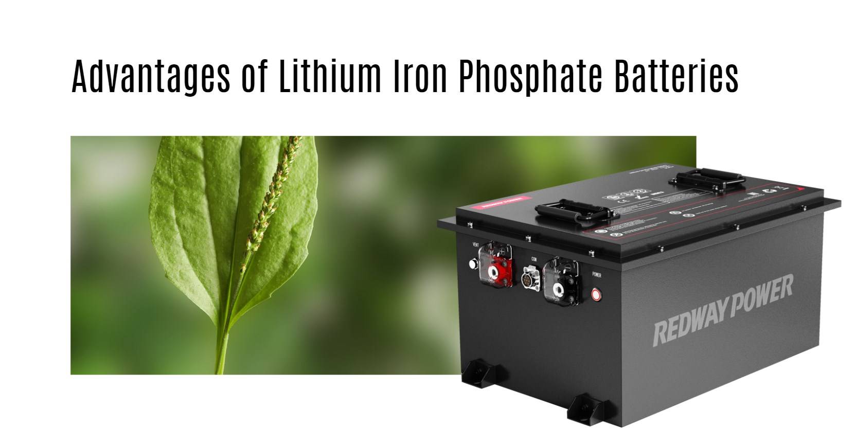 Advantages of Lithium Iron Phosphate Batteries 48v 100ah golf cart lithium battery factory manufacturer oem lifepo4 lfp