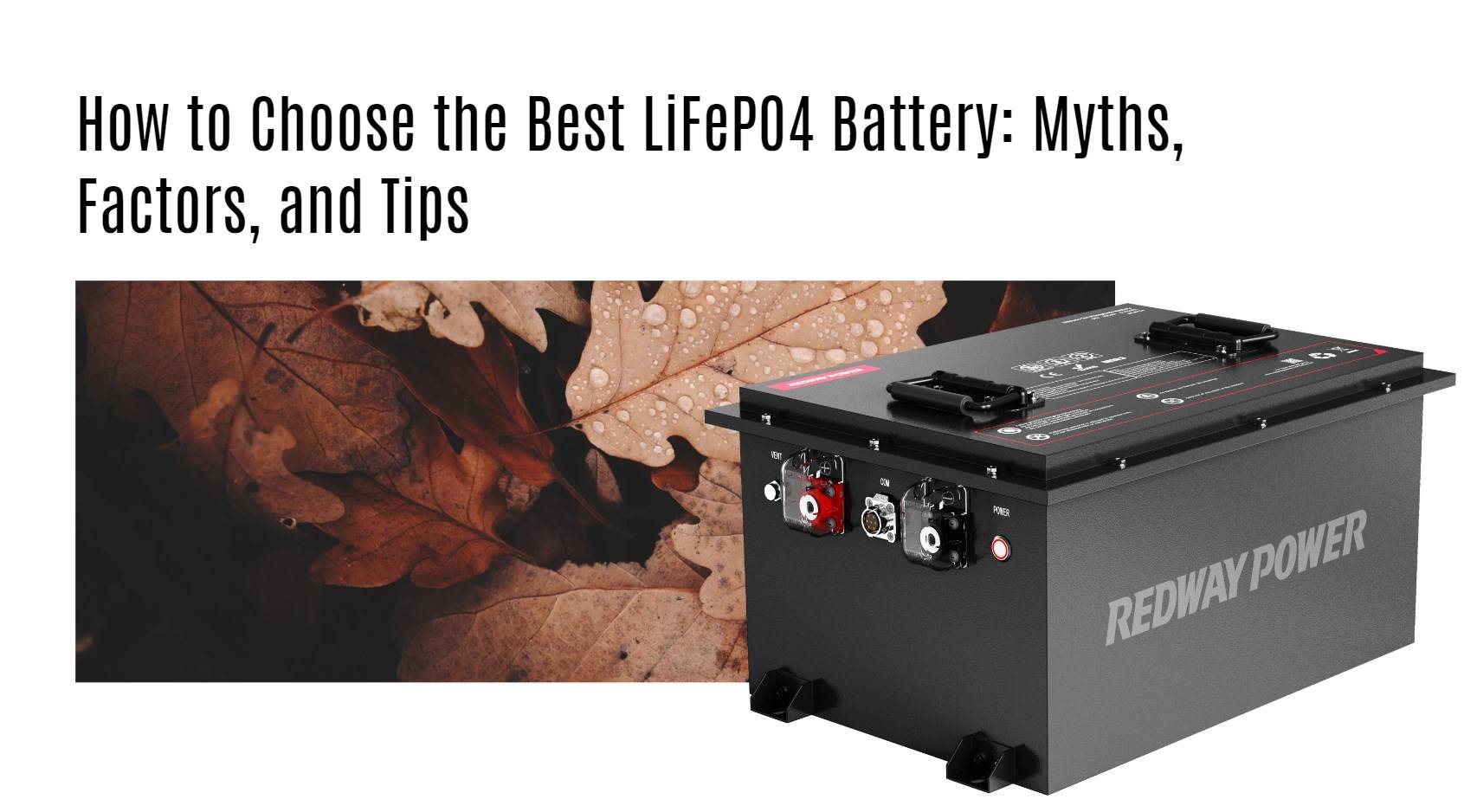 How to Choose the Best LiFePO4 Battery: Myths, Factors, and Tips 48v 100ah golf cart lithium battery factory manufacturer oem lifepo4 lfp