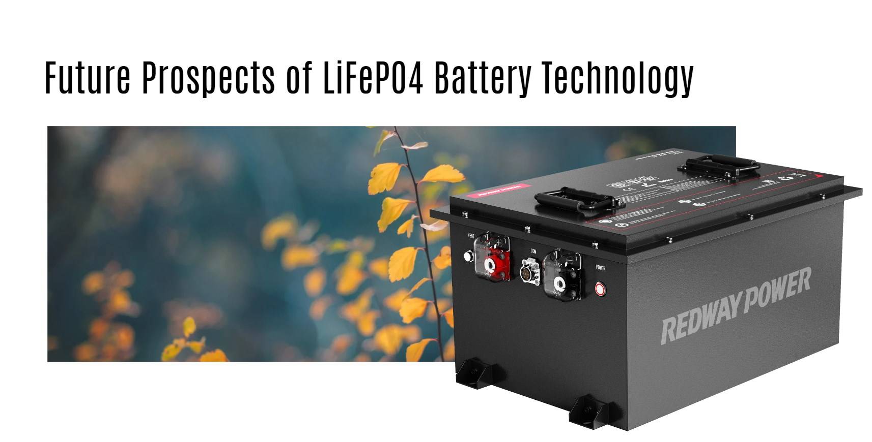 Future Prospects of LiFePO4 Battery Technology 48v 100ah golf cart lithium battery factory manufacturer oem lifepo4 lfp