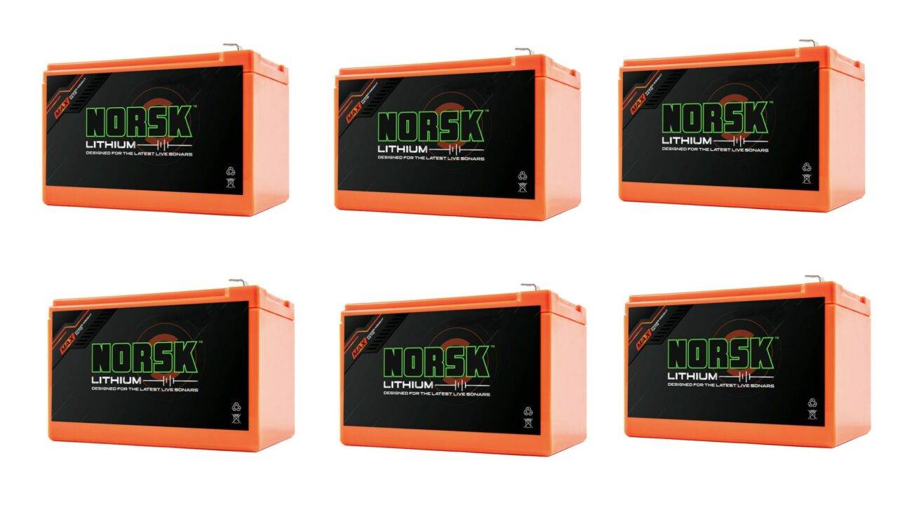 Don't Buy NORSK Lithium 50AH 12V Heated Kayak Battery Unless