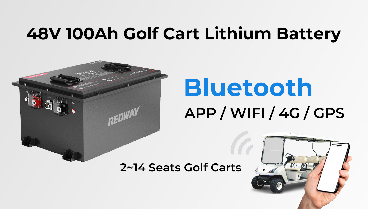 What optional upgrades are available for this battery? redway 48V 100Ah Golf Cart Lithium Battery