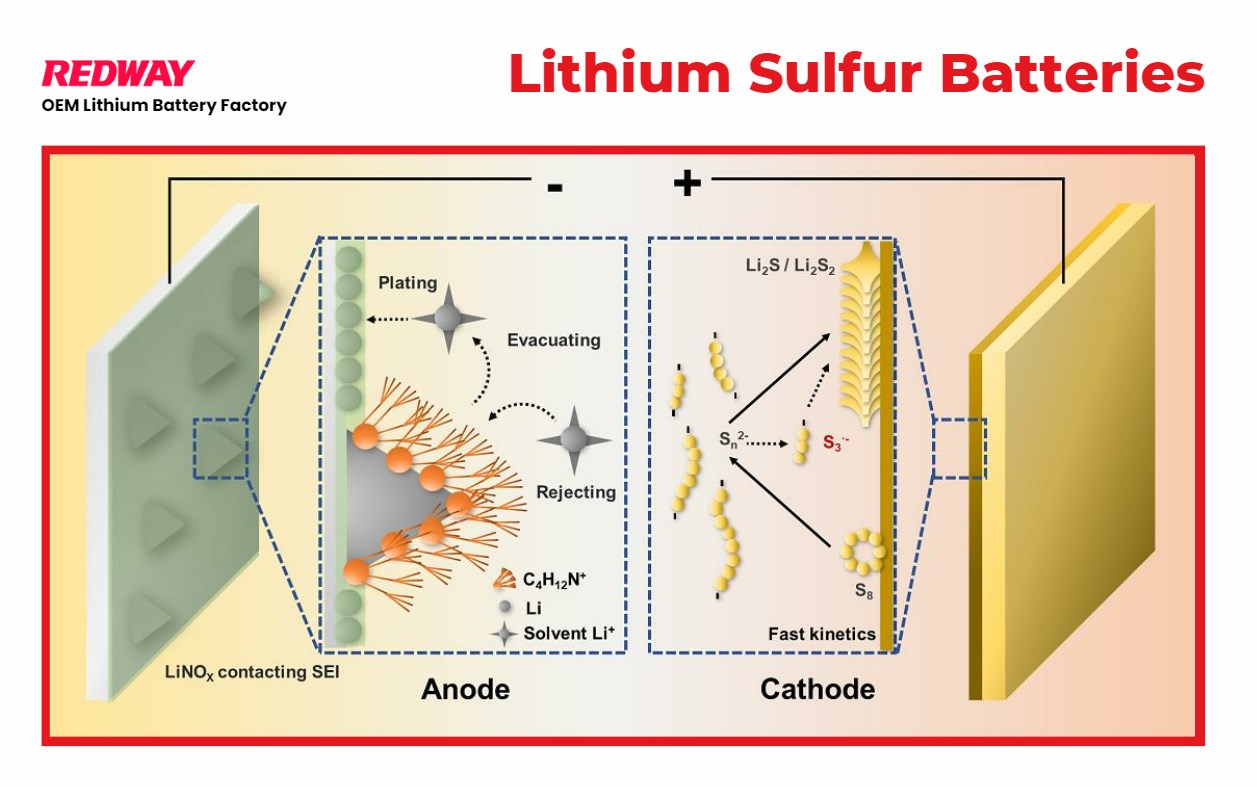 Lithium-Sulfur Batteries